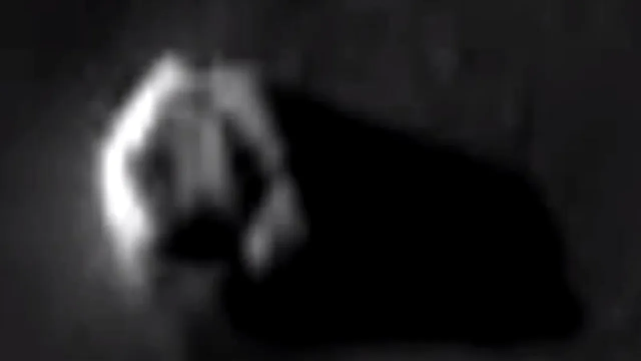 VIDEO: Împătimiții OZN susțin că au găsit o 