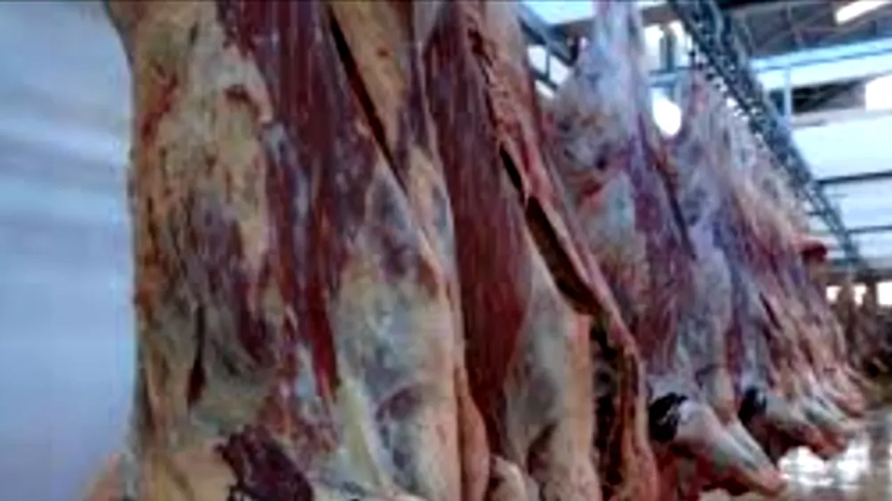 Australia câștigă teren pe piața cărnii de vită din China după retragerea SUA. Tarifele impuse de Administrația Trump lovesc producătorii americani