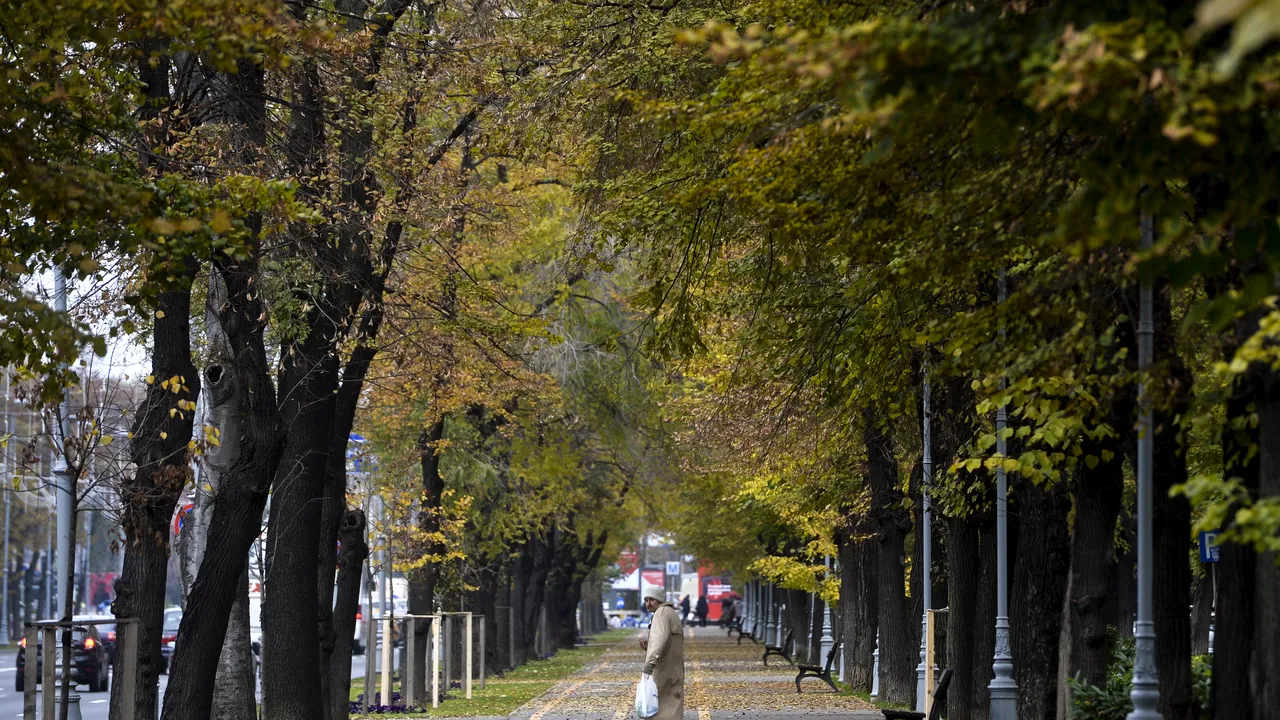 Meciul România-Spania va putea fi urmărit de fanii tricolorilor pe un ecran gigantic, în parcul Herestrău