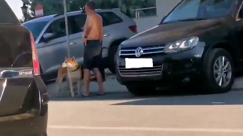 Un copil de 3 ani a fost mușcat de față de un câine, la Mamaia, chiar când se afla în mare cu tatăl său (VIDEO)