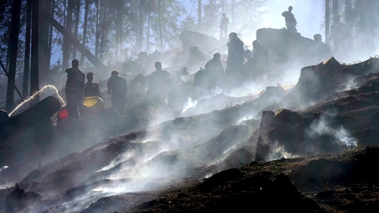 Mai multe bombe descoperite într-o pădure cuprinsă de un incendiu, unele explodând din cauza focului