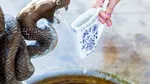 Orașul din România care are izvoare infectate cu BACTERII și E.coli. Oamenii continuă să bea apă din ele: „Ce bacterii să aibă?”