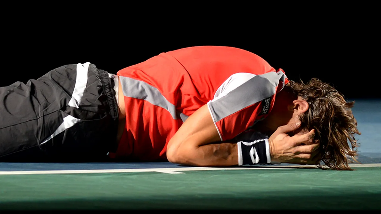 David Ferrer a câștigat turneul de la Paris