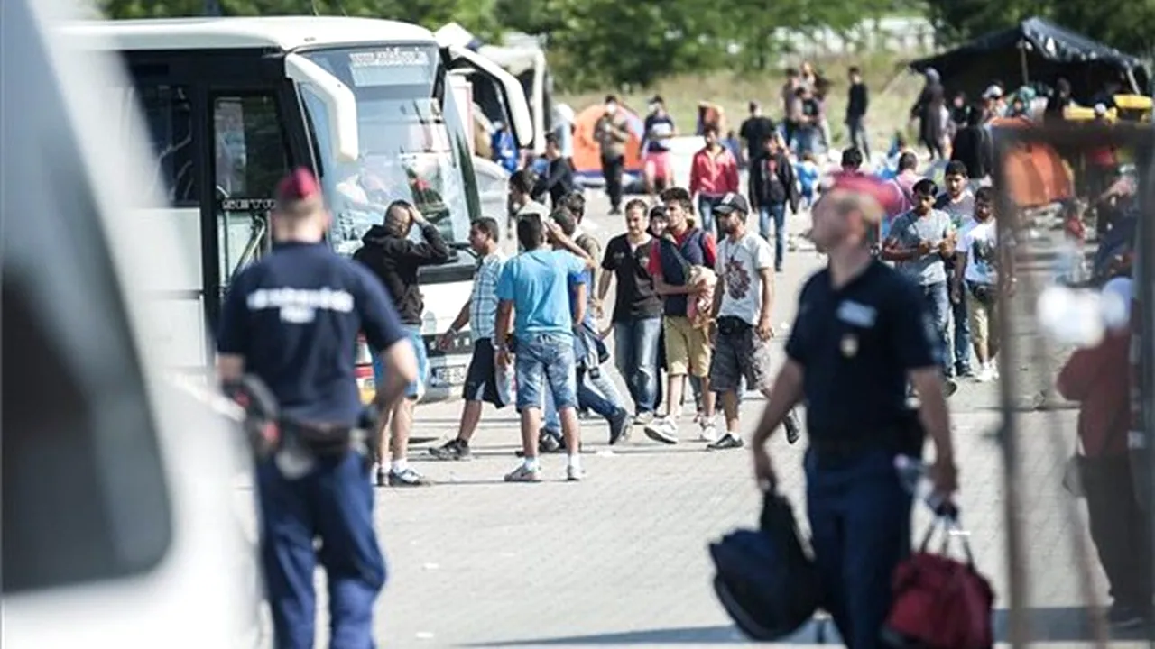 Alți patru români au fost reținuți de poliția ungară pentru trafic de persoane