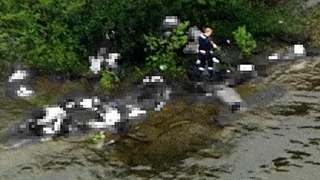 Avertisment: Anders Breivik este pe cale să devină un 