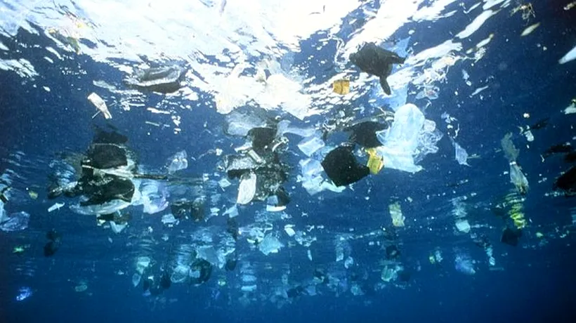 Cantitatea de deșeuri plastice din Oceanul Pacific a crescut de 100 de ori în ultimii 40 de ani. Cum este afectat ecosistemul. STUDIU