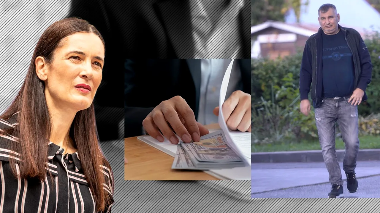 EXCLUSIV | Cine este descurcărețul om de afaceri care a obținut contracte de 50 milioane euro de la administrația Clotilde Armand pentru amenajarea spațiilor verzi în Sectorul 1 - FOTO