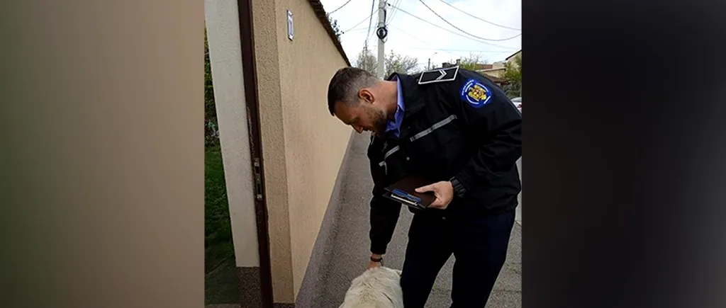 Cum a primit stăpâna unui câine din București amendă de 1.000 de euro. „A fost avertizată”