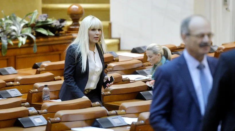 Elena Udrea poate fi urmărită penal: „Este ceva între la revedere și o slujbă de veșnică pomenire