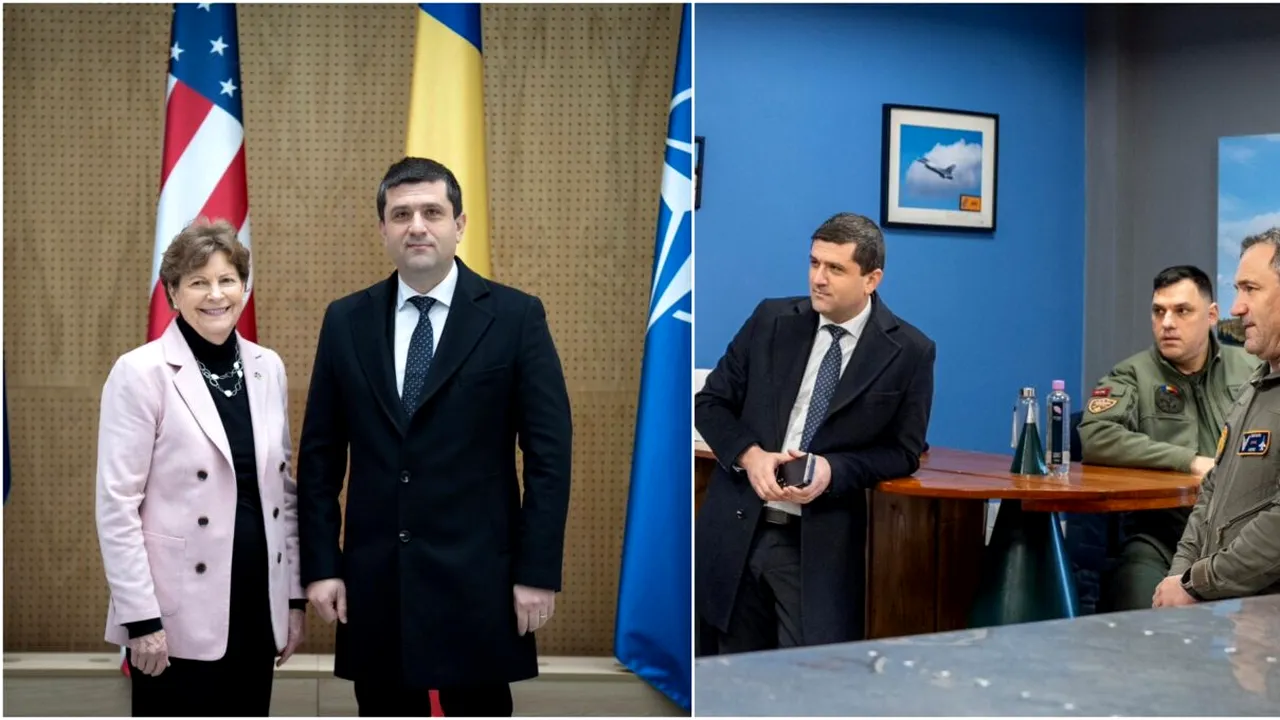 Întâlnirea dintre Radu Miruță și delegația americană a avut ca 