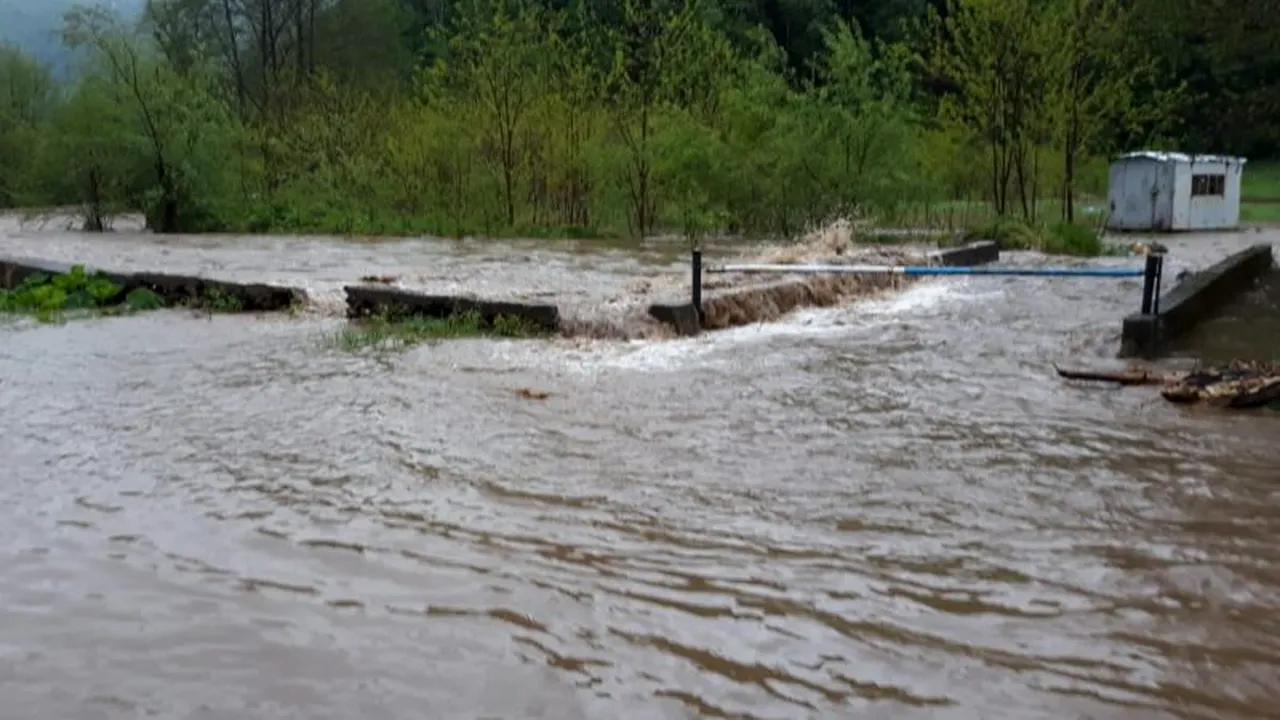 ALERTĂ. Un dig a cedat în urma creșterii nivelul râului Timiș care a atins cota maximă, fiind mai mare cu 11 cm. Ministrul de Interne, Marcel Vela, este așteptat la fața locului