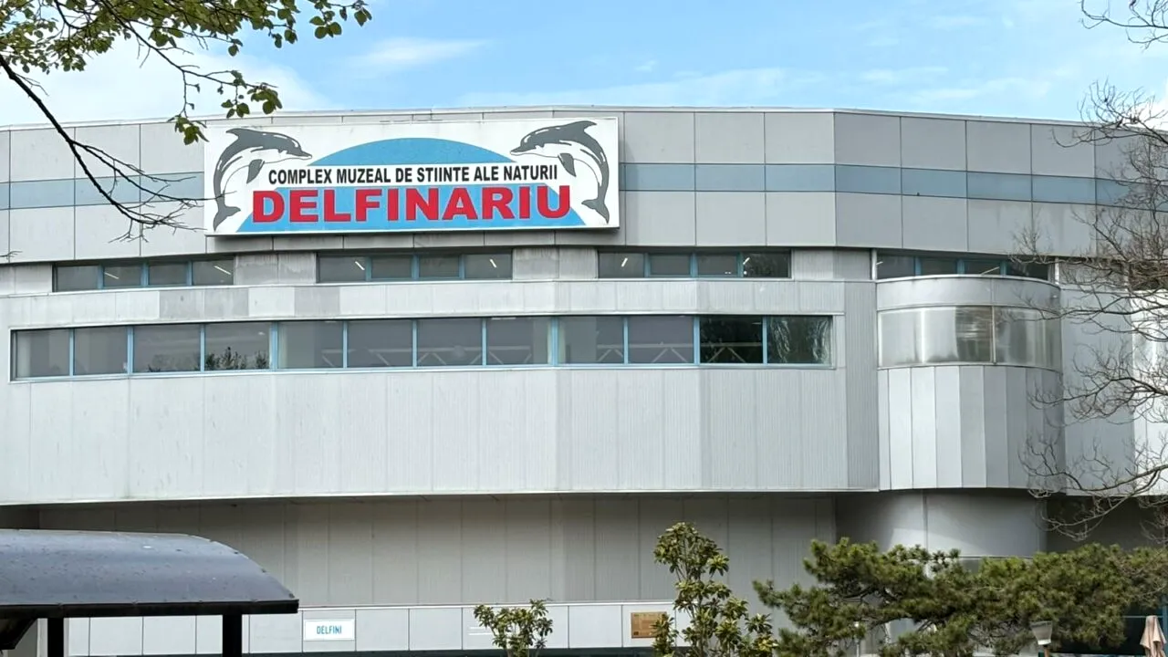 Zeci de copii și părinți au ales să meargă la Delfinariul din Mamaia în a doua zi din minivacanța de 1 mai