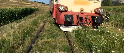 O vacă a provocat deraierea unui tren regio în Mureș. Intervenția pompierilor