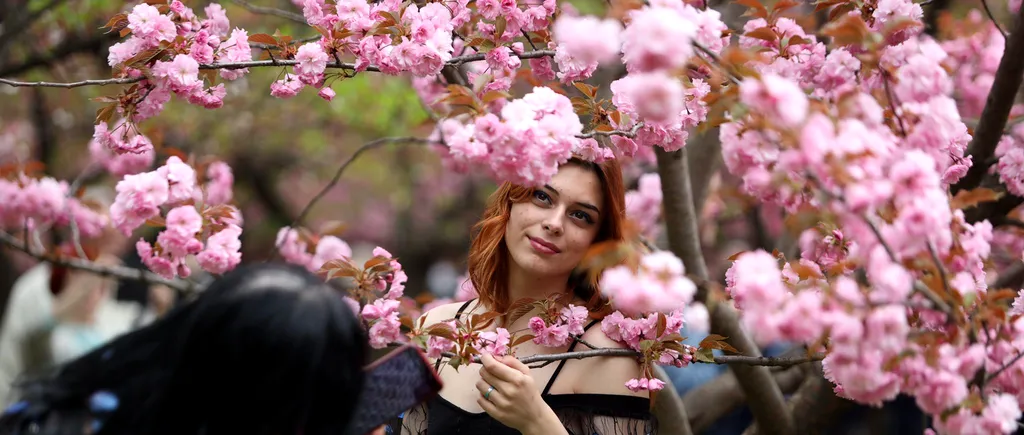 „Zambilica” și „Micșunel” își serbează onomastica de Florii. Câți români au prenume de flori