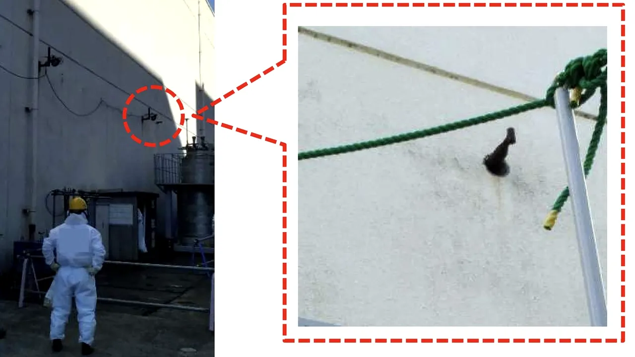 Incident grav în Japonia! Scurgere de apă radioactivă la Centrala Nucleară avariată Fukushima