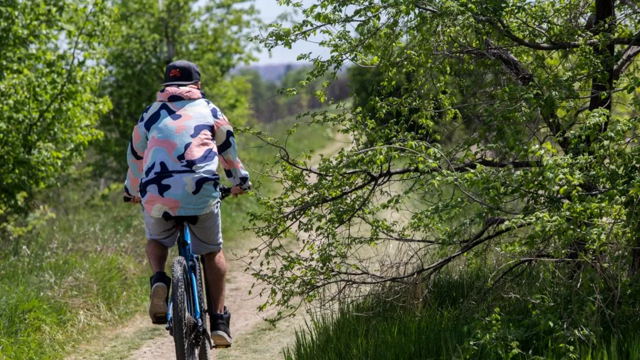 Municipalitatea ar putea prelua în administrare Parcul Văcărești (proiect)