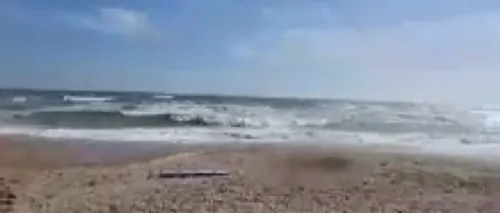 VIDEO | Alertă pe <i class='ep-highlight'>litoral</i>! Trupul neînsuflețit al unei tinere, descoperit pe o plaja din Mamaia