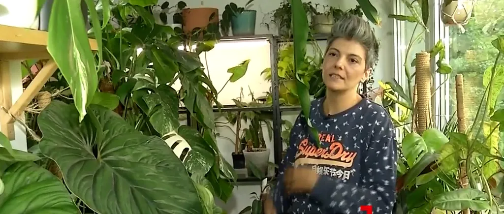 O femeie din București și-a transformat apartamentul într-o grădină botanică. Una dintre plante valorează 21.000 de EURO!