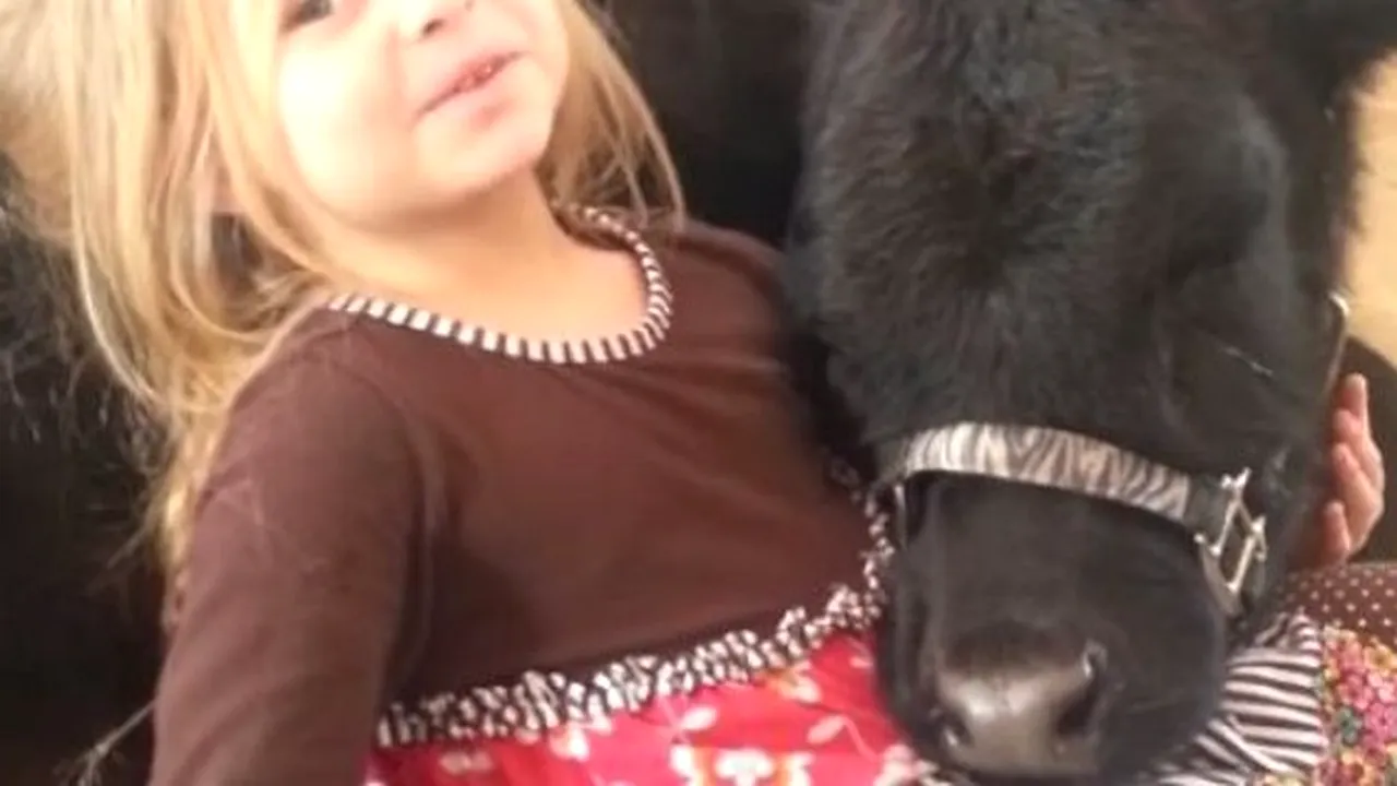 Cum explică o fetiță de 5 ani mamei sale prezența unui oaspete neobișnuit în casă