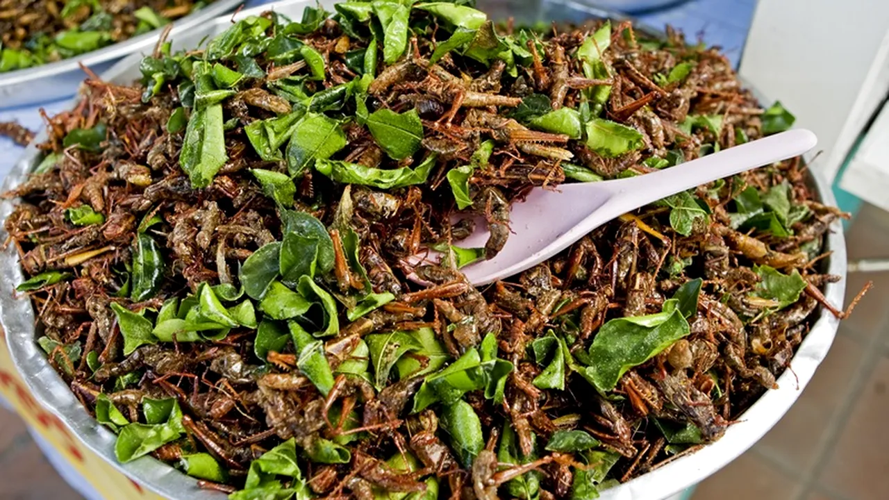 Hrana viitorului. Acestea ar putea fi alimentele pe care oamenii le-ar putea mânca peste câteva decenii