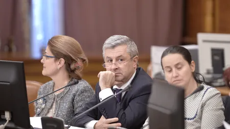 După ce s-a sacrificat pentru OUG 13, Iordache s-a enervat pe Toader. „Interpretează de la sine putere deciziile Curții