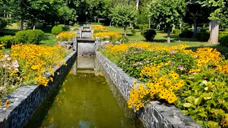 Stațiunea din România, numită „fabrica de sănătate”. Acolo găsești aer curat, e unică în Europa, iar turiștii o adoră