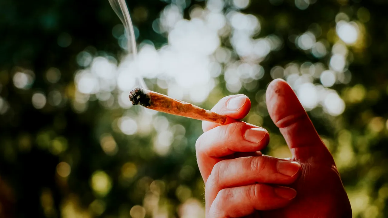 Autocar românesc, BLOCAT la vamă, în Germania. Un pasager avea în rucsac trei kilograme de marijuana