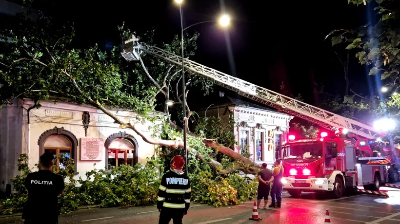Incident în Capitală: Un arbore a CĂZUT peste o cofetărie situată pe Strada Dorobanți