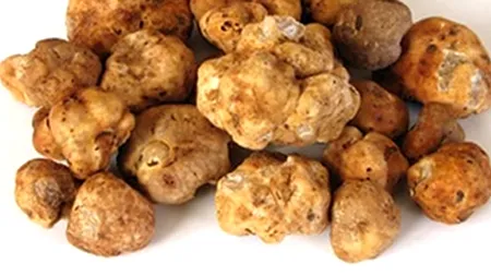 Alimentul care costă 5.000 de dolari/kg. Cum este recoltat