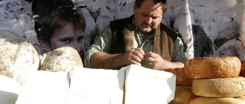 Mare atenție la brânza „de Sibiu. Cum și-au băgat bulgarii coada 
