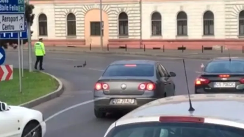Moment inedit în Oradea. Un polițist a oprit circulația pentru a trece strada o familie de rațe. VIDEO