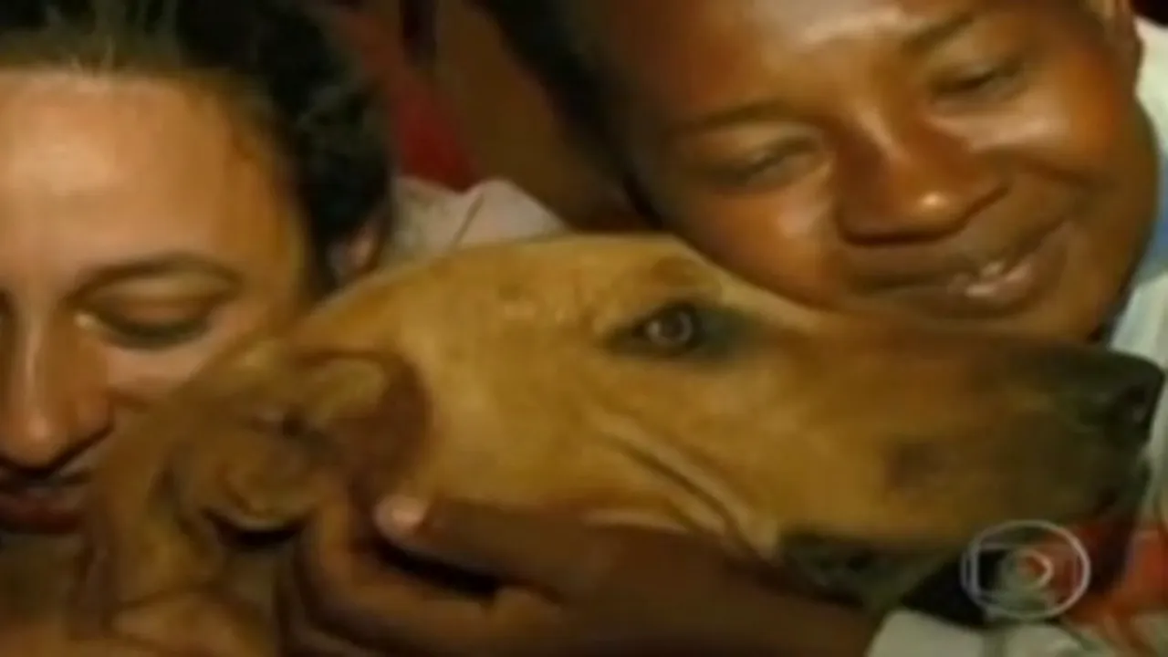 Povestea emoționantă a unui câine care străbate zilnic șase kilometri pentru a-și hrăni prietenii. VIDEO