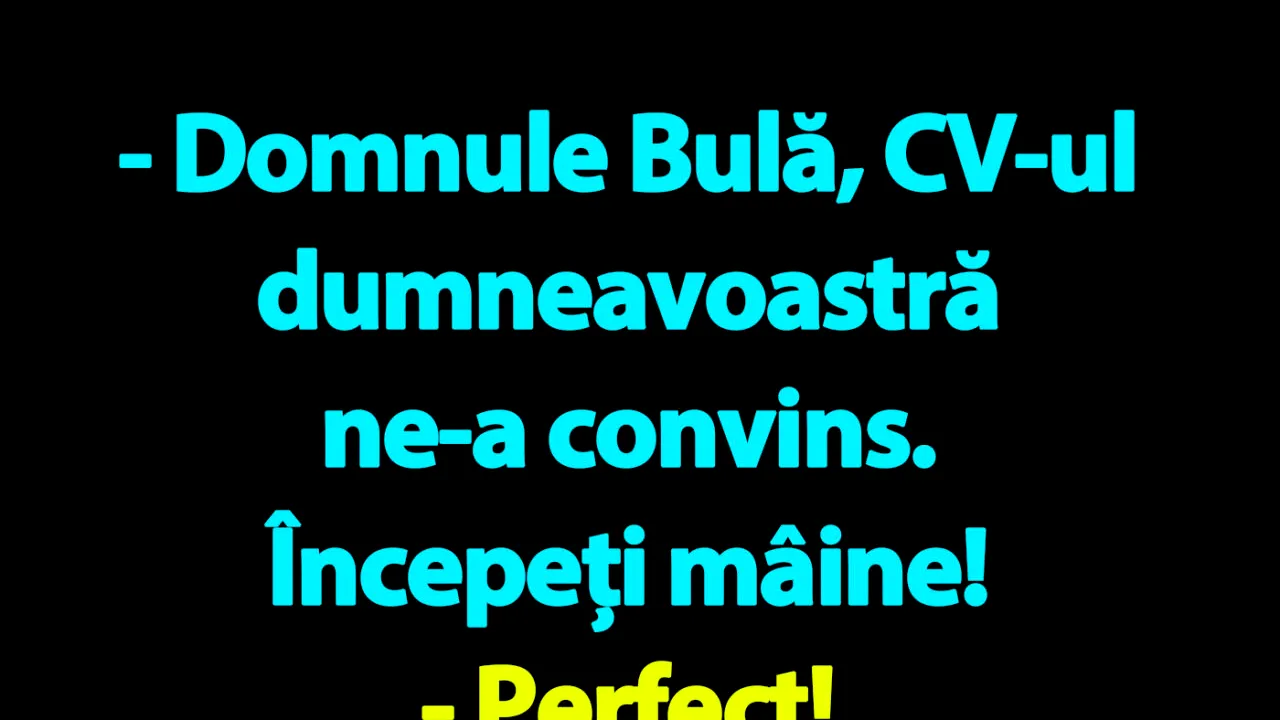 BANC | „Domnule Bulă, CV-ul dumneavoastră ne-a convins. Începeți mâine!”