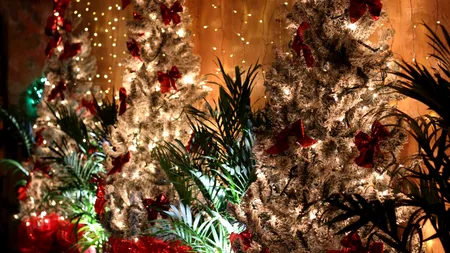 Un cuplu din Germania și-a decorat casa cu 621 de brazi de Crăciun. A folosit peste 125.000 de decorațiuni și peste 50.000 de luminițe