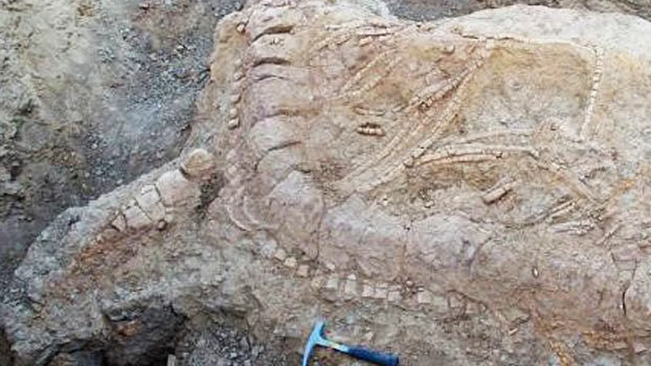 Descoperire importantă în India. Cum arăta „monstrul oceanelor