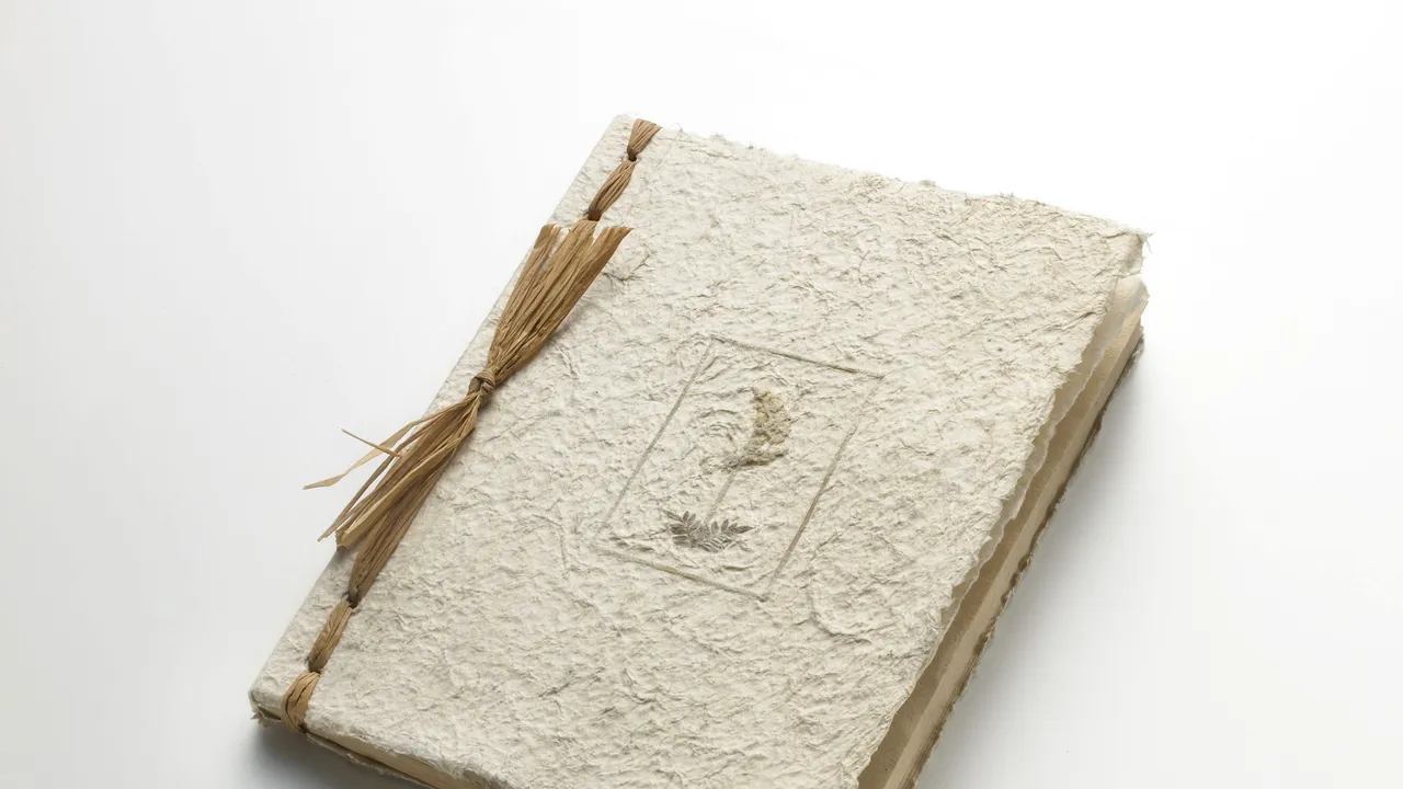 O descoperire de un milion de dolari. Surpriza de care au avut parte doi bunici, când au deschis o carte - FOTO