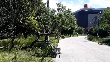 Nicușor Dan: „Costă 400 de lei să demontezi și să montezi o șipcă ruptă dintr-o bancă”. Prețurile practicate de Compania Parcuri și Grădini