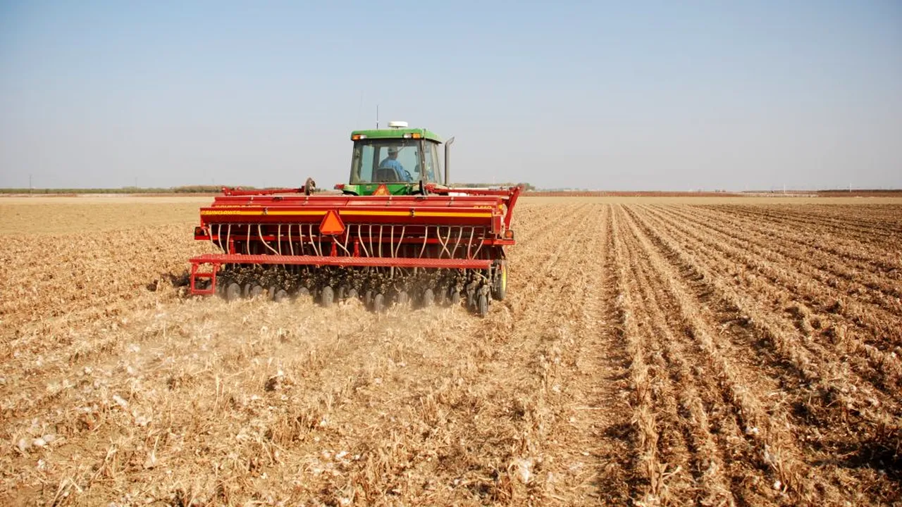 POLITICĂ. PNL dă atacul la Diaspora. Românii care lucrează în fermele din Occident, ademeniți cu salarii de 3000 de lei!