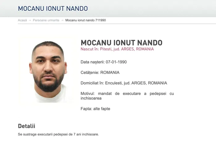 Fratele lui Dani Mocanu