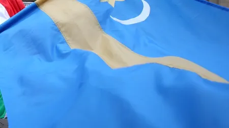 Drapel secuiesc de doi metri, arborat în centrul municipiului Sfântu Gheorghe: 