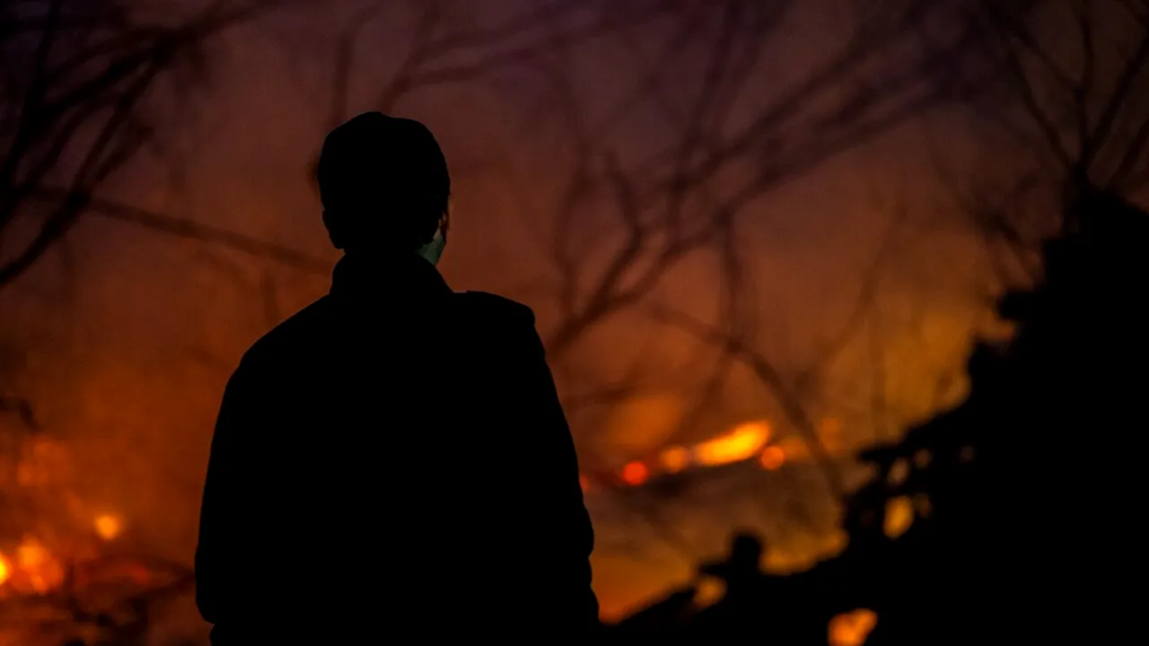 Coreea de Sud, DEVASTATĂ de incendii de vegetație. Cel puțin 24 de persoane și-au pierdut viața