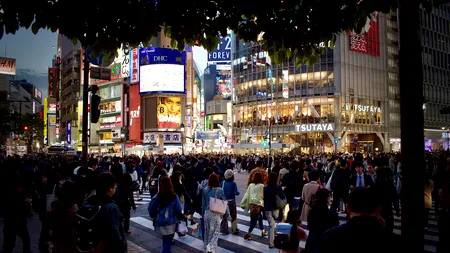 Țara în care PREȚUL locuințelor noi înregistrează o scădere, fără precedent, în ultimul an. Care sunt motivele