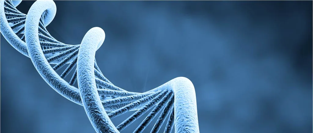 Rolul testelor genetice în cazul asigurărilor private de sănătate