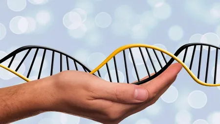 Cancerul și alte boli grave, depistate cu o simplă analiză de sânge! (STUDIU)