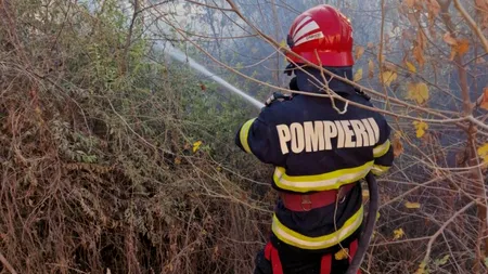 VIDEO | Incendiu de vegetație în Delta Dunarii. A luat foc pădurea din Plauru, localitate unde recent au căzut drone rusești