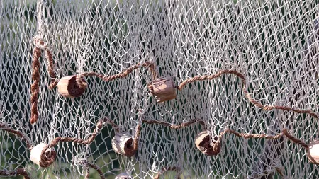 Descoperire neașteptată făcută de pescari într-o plasă. Au fost chemați specialiști marinei pentru a se ocupa de obiect