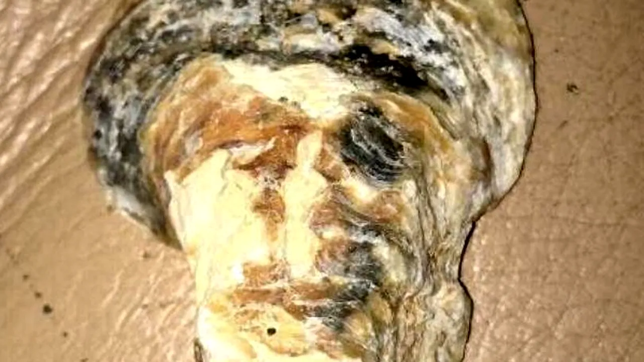 O femeie a descoperit o scoică care seamănă cu unul dintre cel mai cunoscuți teroriști din istorie | FOTO