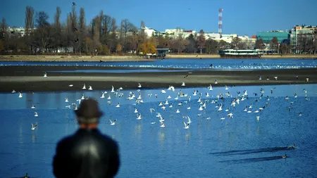 PROGNOZA METEO. Cum va fi vremea în următoarelele zile