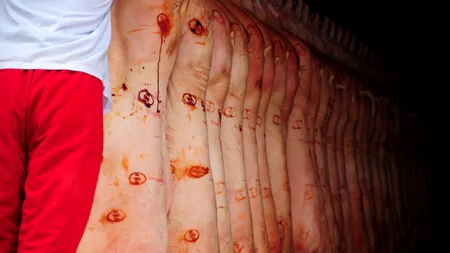 Majorări semnificative la exporturile de carne de porc ale UE. Este vorba de creșteri de sute de milioane de euro!