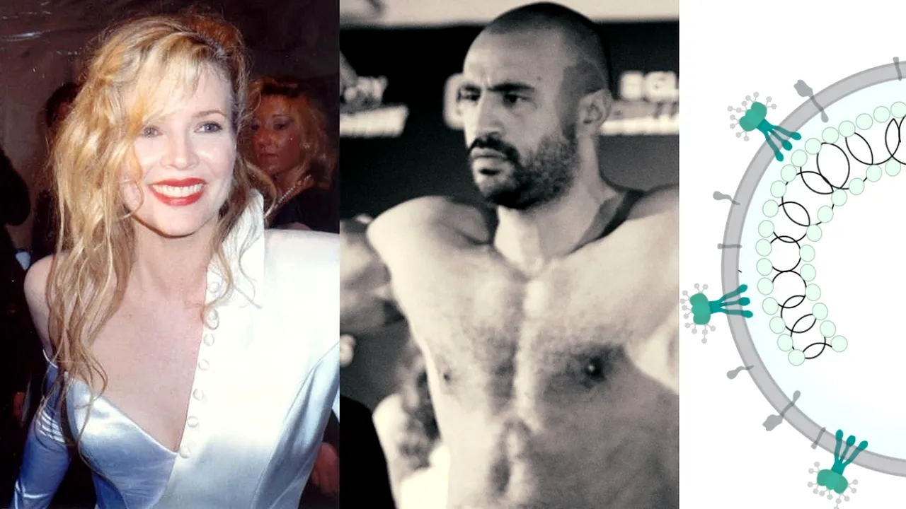 8 DECEMBRIE, calendarul zilei: Kim Basinger împlinește 71 de ani, Badr Hari 40/ 5 ani de la primul caz de COVID-19